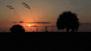 Space Rocket GIF by NASA