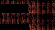 Video Art GIF by cskonopka
