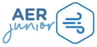 Redwings Aer Sticker by soyliceo
