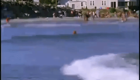 new hampshire GIF