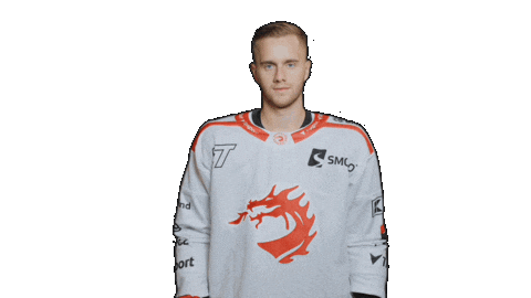 Trinec Sticker by HC Oceláři Třinec