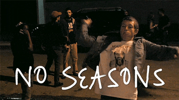 web series mtv other GIF