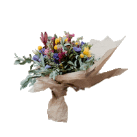 artisteria flores flor artisteria flores alegres Sticker