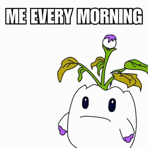 Shocked Monday Morning GIF by Magic Eden