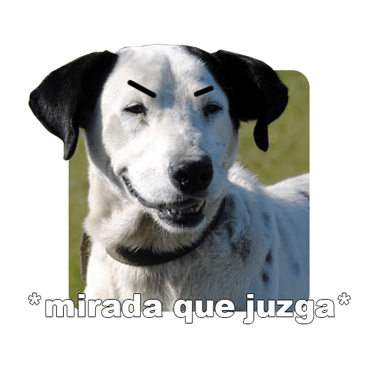 Adoptanocompres Camperito Sticker by El Campito Refugio