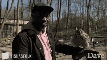 Fern Brady Scotland GIF