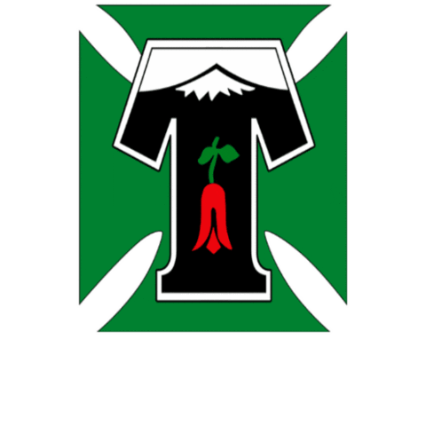 DeportesTemuco temuco futbol chileno araucania pije Sticker