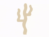 Queen City Cactus GIF by Queen City Collective Coffee