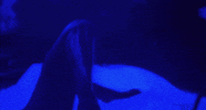 frequency mv GIF by Kid Cudi