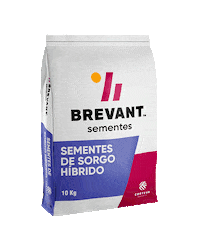 Campo Sorgo Sticker by Brevant Sementes