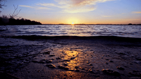 Water Sunset GIF by Living Stills
