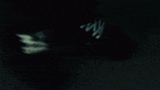 Lb Young Adz GIF by D-Block Europe