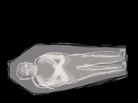 Flowers Death GIF by Barbara Pozzi