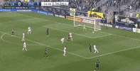 soccer is fun team goal GIF by LA Galaxy