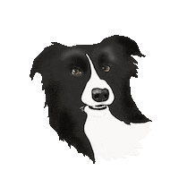 Hugo Sticker
