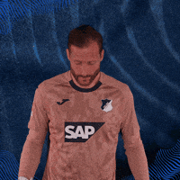 Sport Bundesliga GIF by TSG Hoffenheim