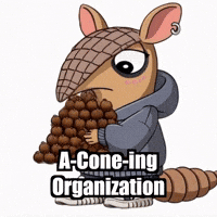 Organization Declutter GIF by Chillo Dillo