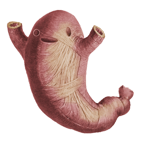 stop motion wtf Sticker by Colin Raff