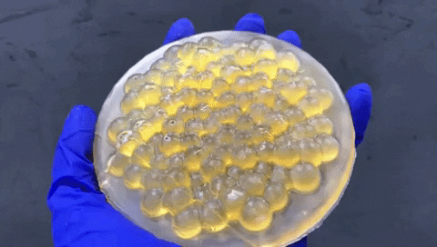 kilanove giphygifmaker GIF