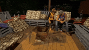 GIF by Redneck Island