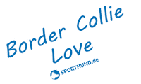 Border Collie Dog Sticker by Sporthund