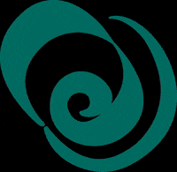 puntamita puntamita vivapuntamita GIF