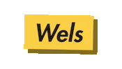 Water News Sticker by Rowing.at