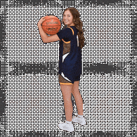 Womens Basketball Sticker by WVU Tech Golden Bears