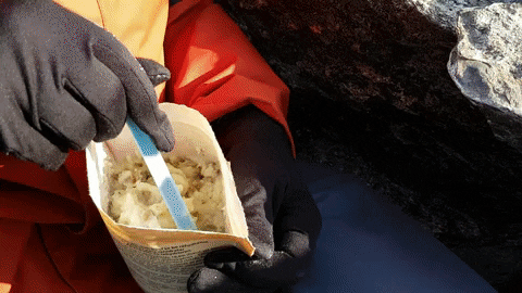 roxandyo giphygifmaker GIF