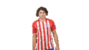 Football Soccer Sticker by Gulf United FC
