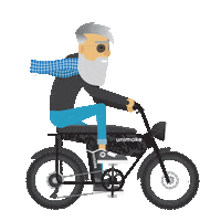 ud electric bike Sticker by Urban Drivestyle