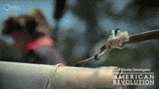 Watch Out Boom GIF by PBS