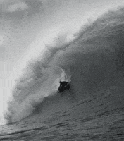 North Shore Surf GIF by FLORENCE