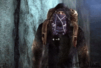 Mercador GIF