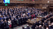 Standing Ovation Applause GIF by GIPHY News