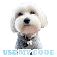 Morkie Sticker by Pimp Yo Pets