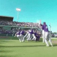 Fort Worth College GIF by TCU Athletics