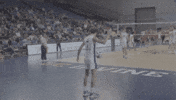 Volleyball Anteaters GIF by UCI Athletics