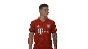 happy fc bayern Sticker by Bundesliga