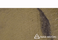 taigamotors hot summer water pool GIF