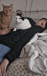 Mood I Cant GIF