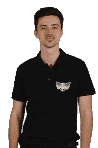 Black_Wings_Linz yes ice eishockey black wings Sticker