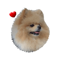 Love You Dog Sticker