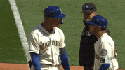 Lets Go Sport GIF by MLB