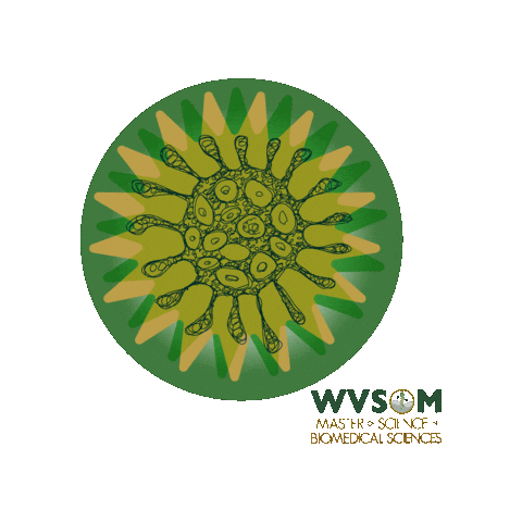 Classof2025 Sticker by West Virginia School of Osteopathic Medicine