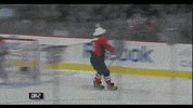 hockey win GIF by Capitals