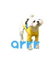 아르르 Sticker by arrr_official