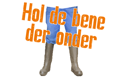 Zwarte Cross Festival Sticker by Omroep Gelderland