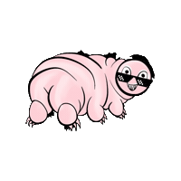 Bad Gyal Twerk Sticker by ARTEfr