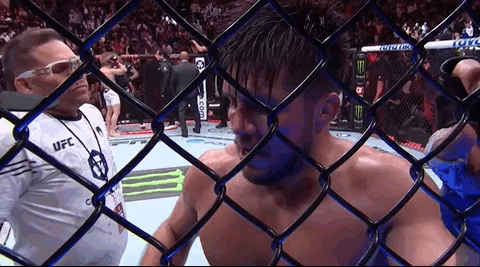 Mixed Martial Arts Sport GIF by UFC